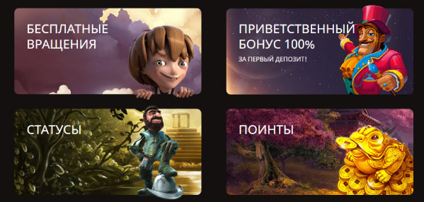 Бонусы и акции